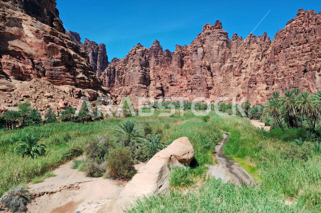 صورة جمالية لأخاديد الجبال الساحرة ، و التكوينات  الصخرية و الواحات بوادي الديسة في منطقة تبوك ، وادي الديسة ( الوادي الممتلئ بالنخيل ) الطبيعة الساحرة و جمالها الخلاب في المملكة العربية السعودية