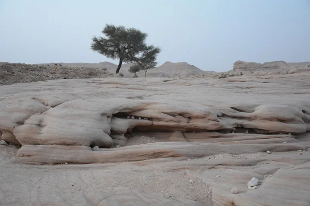 Rocky Desert Landscape in Saudi Arabia
