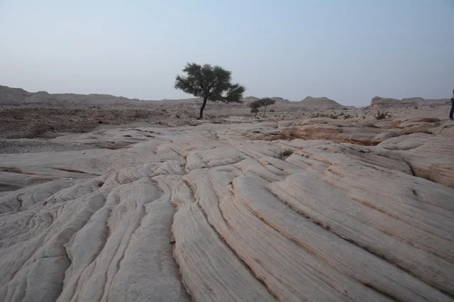 Saudi Arabian Desert Rock Formations and Lone Tree