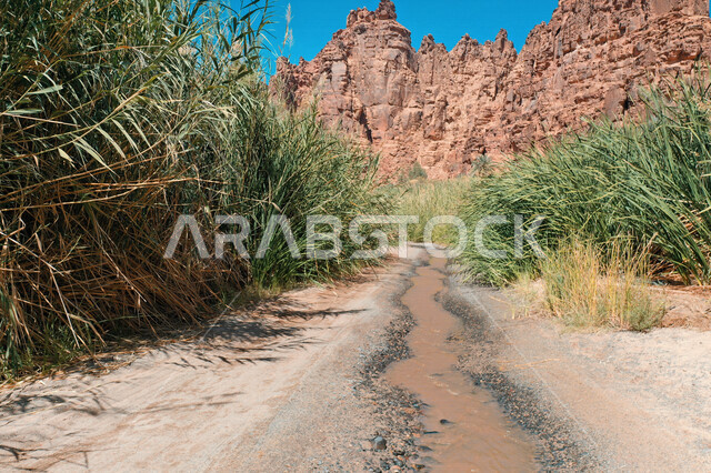 صورة جمالية لأخاديد الجبال الساحرة ، و التكوينات  الصخرية و الواحات بوادي الديسة في منطقة تبوك ، وادي الديسة ( الوادي الممتلئ بالنخيل ) الطبيعة الساحرة و جمالها الخلاب في المملكة العربية السعودية