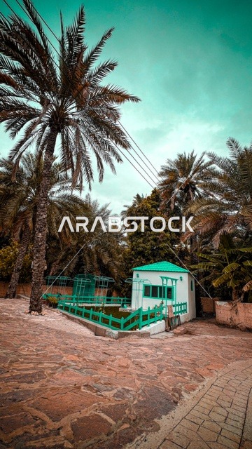 مبنى صغير في سلطنة غمان مع أشجار النخيل