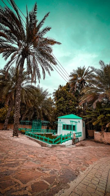 A small building in the Sultanate of Oman with palm trees.