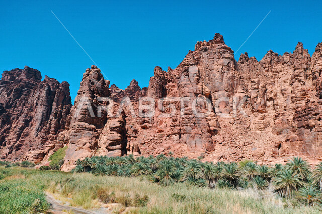 صورة جمالية لأخاديد الجبال الساحرة ، و التكوينات  الصخرية و الواحات بوادي الديسة في منطقة تبوك ، وادي الديسة ( الوادي الممتلئ بالنخيل ) الطبيعة الساحرة و جمالها الخلاب في المملكة العربية السعودية