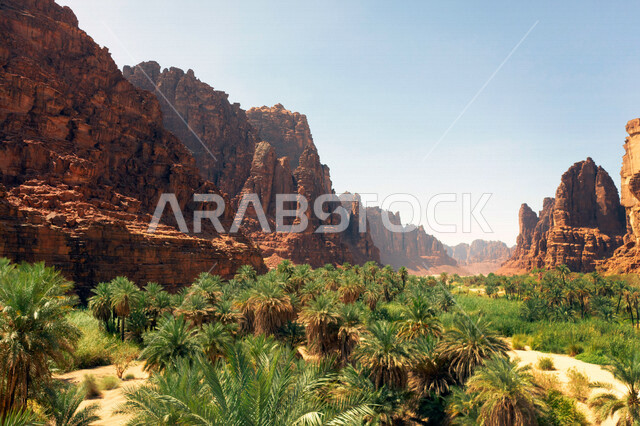 صورة جمالية لأخاديد الجبال الساحرة ، و التكوينات  الصخرية و الواحات بوادي الديسة في منطقة تبوك ، وادي الديسة ( الوادي الممتلئ بالنخيل ) الطبيعة الساحرة و جمالها الخلاب في المملكة العربية السعودية