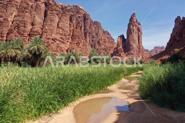 An aesthetic picture of the charming mountain canyons, rock formations and oases in Wadi Al-Disah in the Tabuk region, Wadi Al-Disah (the valley filled with palms) the charming nature and its scenic beauty in the Kingdom of Saudi Arabia