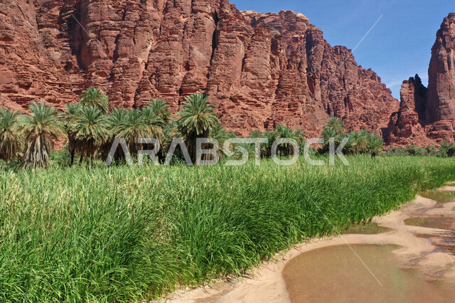 صورة جمالية لأخاديد الجبال الساحرة ، و التكوينات  الصخرية و الواحات بوادي الديسة في منطقة تبوك ، وادي الديسة ( الوادي الممتلئ بالنخيل ) الطبيعة الساحرة و جمالها الخلاب في المملكة العربية السعودية