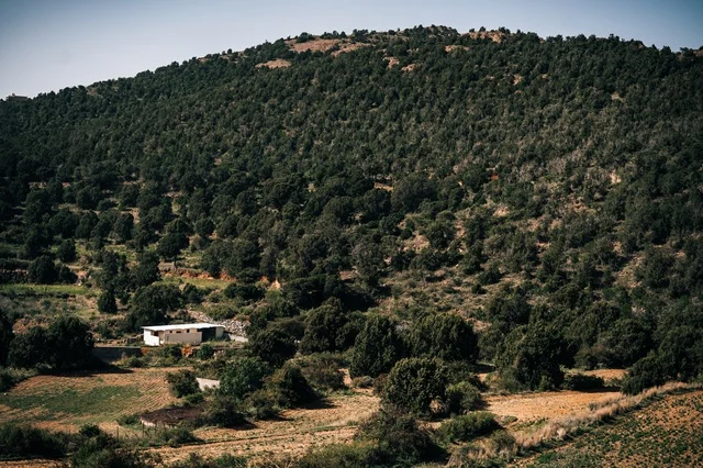 Green Mountain Landscape in Abha Saudi Arabia Nature