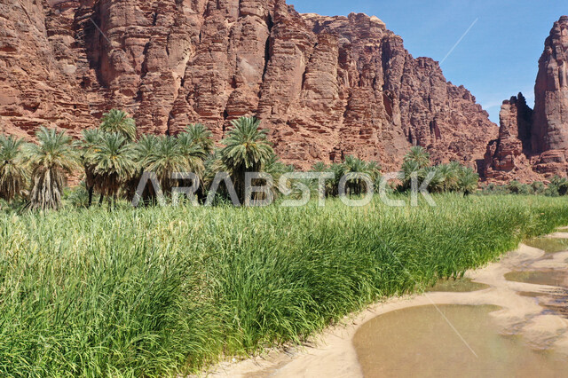 صورة جمالية لأخاديد الجبال الساحرة ، و التكوينات  الصخرية و الواحات بوادي الديسة في منطقة تبوك ، وادي الديسة ( الوادي الممتلئ بالنخيل ) الطبيعة الساحرة و جمالها الخلاب في المملكة العربية السعودية