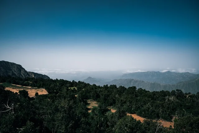 Nature Mountains and Forest in Abha Saudi Arabia