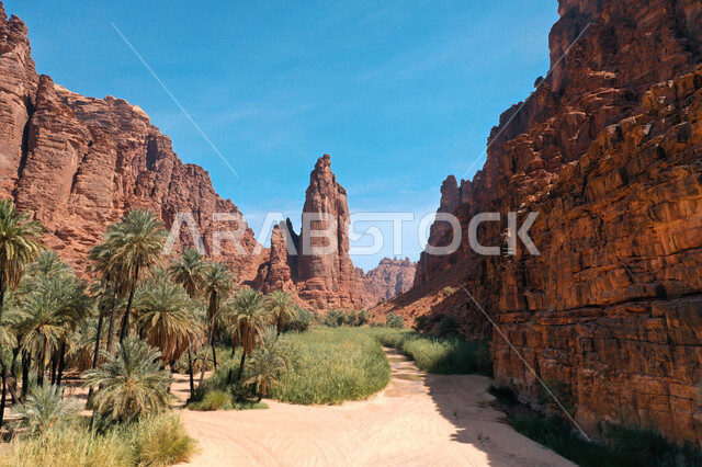 صورة جمالية لأخاديد الجبال الساحرة ، و التكوينات  الصخرية و الواحات بوادي الديسة في منطقة تبوك ، وادي الديسة ( الوادي الممتلئ بالنخيل ) الطبيعة الساحرة و جمالها الخلاب في المملكة العربية السعودية