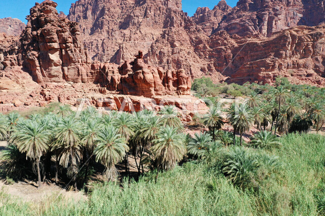 صورة جمالية لأخاديد الجبال الساحرة ، و التكوينات  الصخرية و الواحات بوادي الديسة في منطقة تبوك ، وادي الديسة ( الوادي الممتلئ بالنخيل ) الطبيعة الساحرة و جمالها الخلاب في المملكة العربية السعودية