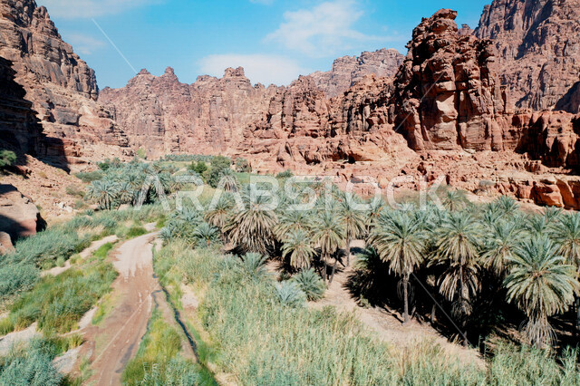 صورة جمالية لأخاديد الجبال الساحرة ، و التكوينات  الصخرية و الواحات بوادي الديسة في منطقة تبوك ، وادي الديسة ( الوادي الممتلئ بالنخيل ) الطبيعة الساحرة و جمالها الخلاب في المملكة العربية السعودية