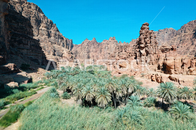 An aesthetic picture of the charming mountain canyons, rock formations and oases in Wadi Al-Disah in the Tabuk region, Wadi Al-Disah (the valley filled with palms) the charming nature and its scenic beauty in the Kingdom of Saudi Arabia