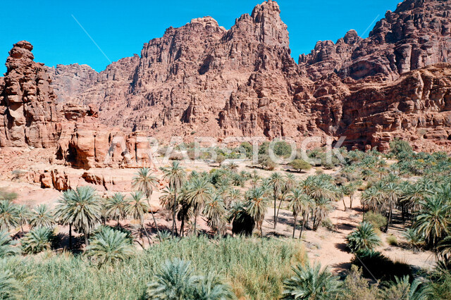 صورة جمالية لأخاديد الجبال الساحرة ، و التكوينات  الصخرية و الواحات بوادي الديسة في منطقة تبوك ، وادي الديسة ( الوادي الممتلئ بالنخيل ) الطبيعة الساحرة و جمالها الخلاب في المملكة العربية السعودية