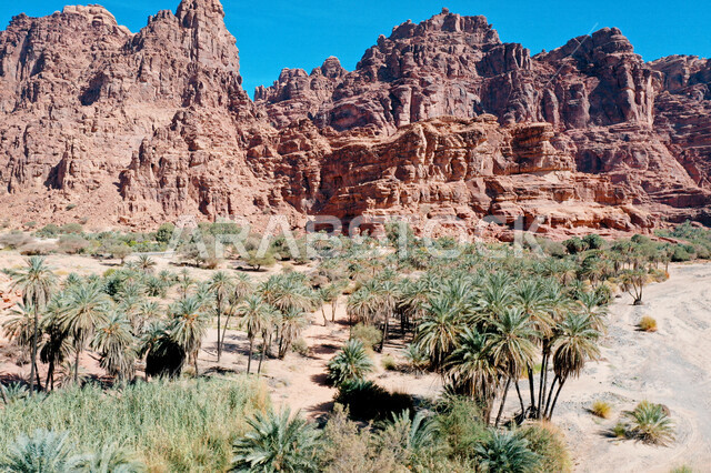صورة جمالية لأخاديد الجبال الساحرة ، و التكوينات  الصخرية و الواحات بوادي الديسة في منطقة تبوك ، وادي الديسة ( الوادي الممتلئ بالنخيل ) الطبيعة الساحرة و جمالها الخلاب في المملكة العربية السعودية
