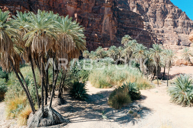 صورة جمالية لأخاديد الجبال الساحرة ، و التكوينات  الصخرية و الواحات بوادي الديسة في منطقة تبوك ، وادي الديسة ( الوادي الممتلئ بالنخيل ) الطبيعة الساحرة و جمالها الخلاب في المملكة العربية السعودية