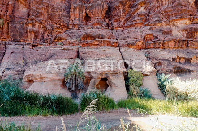 An aesthetic picture of the charming mountain canyons, rock formations and oases in Wadi Al-Disah in the Tabuk region, Wadi Al-Disah (the valley filled with palms) the charming nature and its scenic beauty in the Kingdom of Saudi Arabia