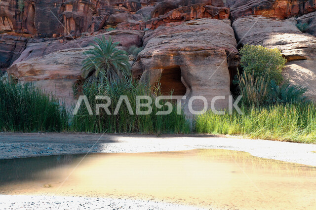 صورة جمالية لأخاديد الجبال الساحرة ، و التكوينات  الصخرية و الواحات بوادي الديسة في منطقة تبوك ، وادي الديسة ( الوادي الممتلئ بالنخيل ) الطبيعة الساحرة و جمالها الخلاب في المملكة العربية السعودية