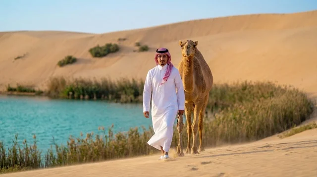 Saudi Man Walking with Camel by Desert Oasis Lake