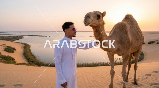 رجل سعودي مع جمل فوق كثبان الصحراء عند الغروب