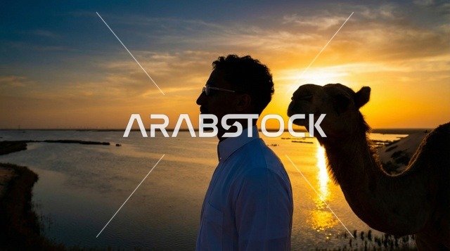 رجل سعودي مع جمل وقت الغروب على البحر