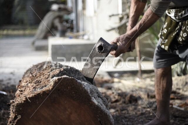 صورة لرجل عربي، فلاح يستخدم فأس لتقطيع خشب الأشجار، مزرعة ومزارعين، مهن قديمة، شعبيات