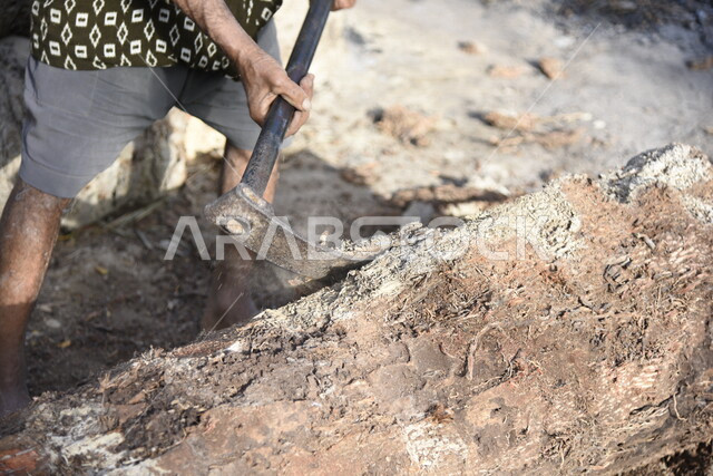 صورة لرجل عربي، فلاح يستخدم فأس لتقطيع خشب الأشجار، مزرعة ومزارعين، مهن قديمة، شعبيات