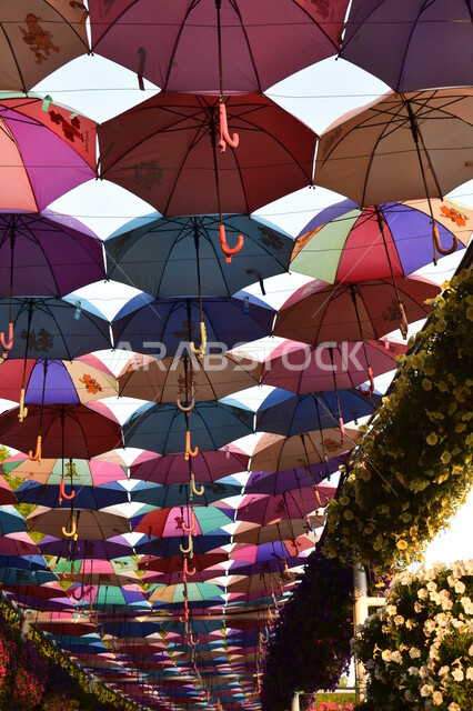 A group of colorful parades hanging from one of the corridors in the Miracle Garden in Dubai in the United Arab Emirates, stunning views, famous Dubai landmarks, colorful parades, the miracle garden, tourism in the Emirates