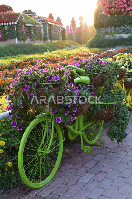 نموذج لدراجة هوائية مصنوعة من الورود في الحديقة المعجزة بدبي في الإمارات العربية المتحدة، مناظر خلابة، معالم دبي المشهورة، دراجة هوائية، الحديقة المعجزة، السياحة في الإمارات