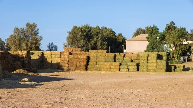 Stacked Hay Bales in Sakaka Al Jouf Saudi Arabia