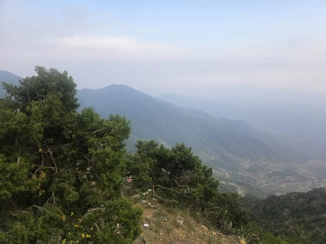 Abha Asir Mountain Landscape with Green Juniper Trees