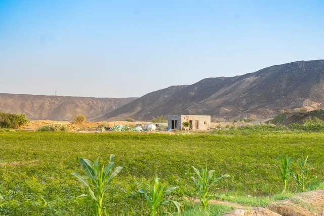 Rural House in Green Agricultural Field with Mountains