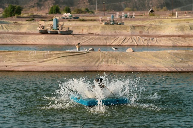Paddlewheel Water Aerator Splashing in Aquaculture Pond