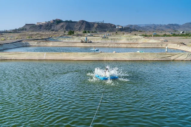Aquaculture Fish Farm Ponds in Desert Mountain Landscape