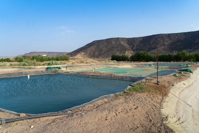Desert Water Reservoirs and Ponds in Saudi Arabia