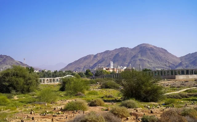 منظر طبيعي لوادي وجبال خضراء في المملكة العربية السعودية