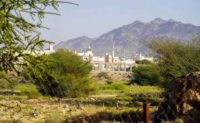منظر طبيعي لقرية سعودية وجبال وعرة