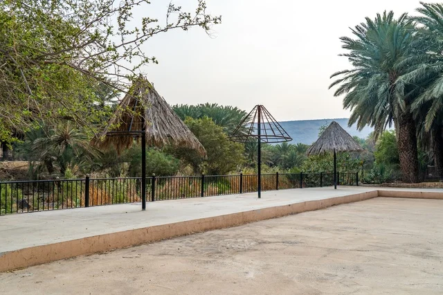 Thatch Umbrellas in a Green Oasis Park with Palm Trees
