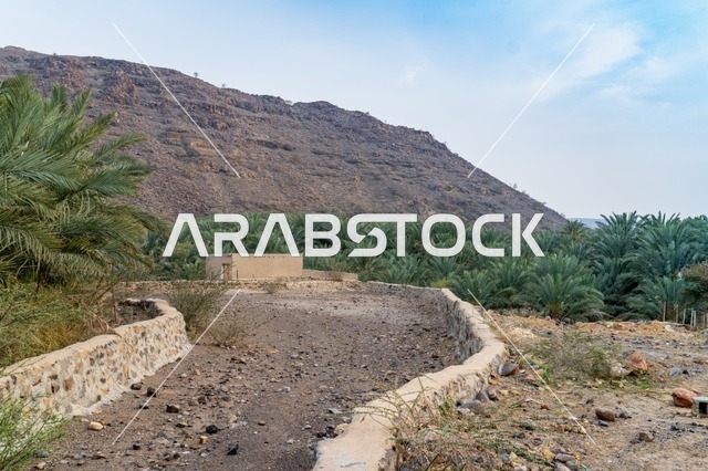واحة صحراوية خضراء مع أشجار النخيل والجبال الصخرية