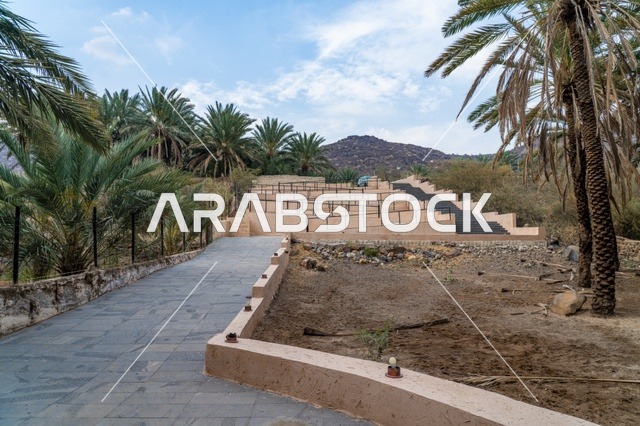 Stone Pathway with Palm Trees and Mountain Background