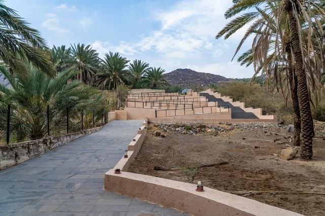 Stone Pathway with Palm Trees and Mountain Background