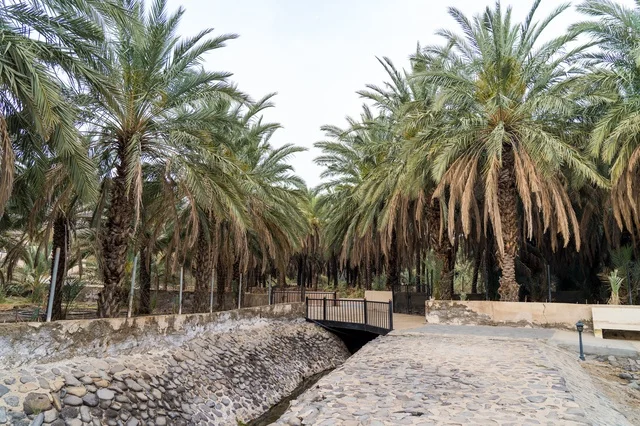 Date Palm Oasis with Stone Path and Bridge