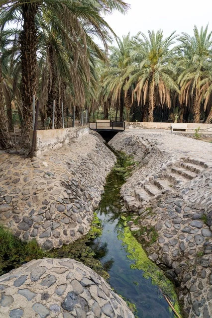 Traditional Stone Irrigation Canal in Date Palm Oasis