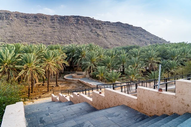 Stone Staircase Overlooking Desert Palm Grove Oasis