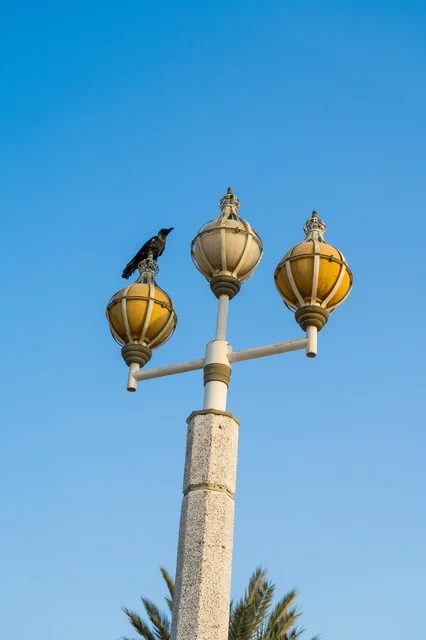 Black Crow Perched on Yellow Street Lamppost Blue Sky