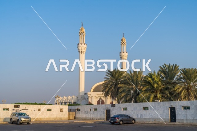 مسجد أبيض بمآذن شاهقة وأشجار نخيل تحت سماء صافية