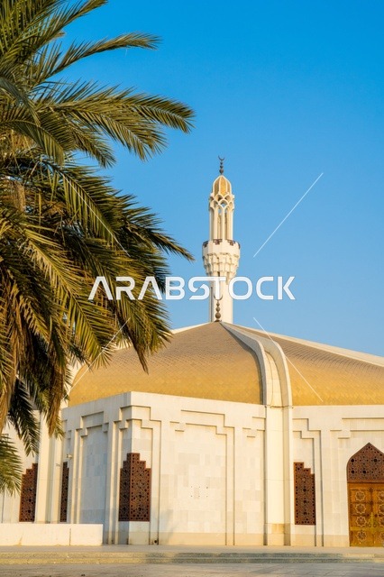 مسجد أبيض ذو قبة ذهبية ونخلة تحت سماء زرقاء صافية