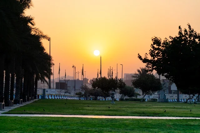 حديقة عامة خضراء مع أشجار النخيل وقت غروب الشمس الذهبي