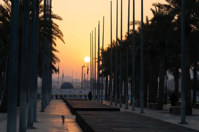 Silhouetted Palm Trees and Flagpoles Walkway at Sunset