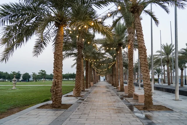 Palm Tree Walkway with String Lights in Public Park